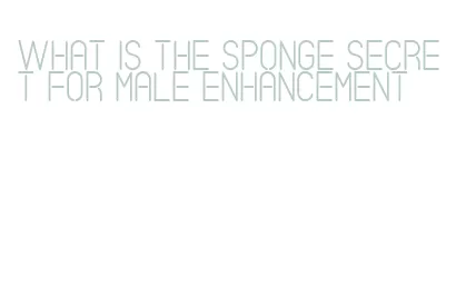 what is the sponge secret for male enhancement