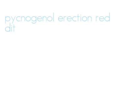 pycnogenol erection reddit
